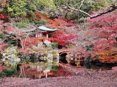 -醍醐寺