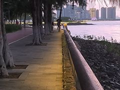 -万绿园