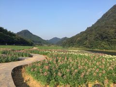 -广州市石门国家森林公园