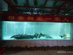 -年辉渔村·非遗传承餐厅(新丰江店)