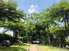 -陶缘一号·四季缘·老字号顺德菜·户外婚礼家宴(西滘店)