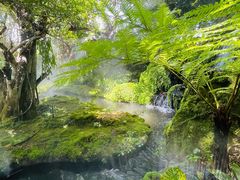 -Chom Cafe and Restaurant