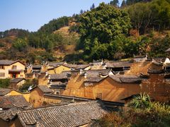 -杨家堂村