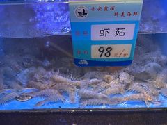 -渔傅印象滩涂霞浦海鲜(井大路店)