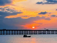 -宝安西湾红树林湿地公园