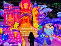 -沈阳奥体冰雪嘉年华