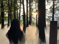 -东湖落雁景区