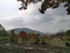 -塔川景区