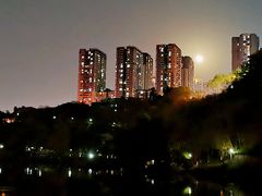 -重庆彩云湖湿地公园