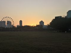 -万绿园