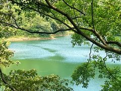 -佛山市三水区大南山森林公园