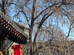 -张学良旧居陈列馆