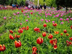 -长春公园(普阳街道)