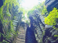 -梭布垭石林景区