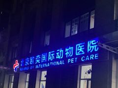 -欧奕国际动物医院