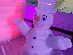 -世界之窗阿尔卑斯冰雪世界