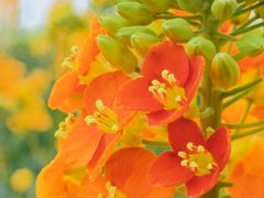 -中国天府农业博览园