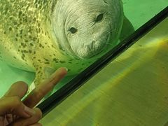 -嘉兴海底世界