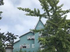 -八大关景区