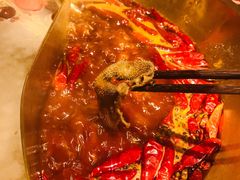 -小龙坎火锅(黄河店)