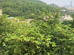 -白云山索道-售票处
