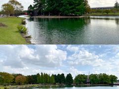 -上海辰山植物园