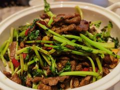 香菜摔打黄牛肉-桂满陇·蟹黄小笼汤包(巴黎春天浦建店)