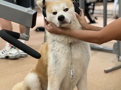 -YCHL Studios健身工作室(市二宫店)