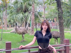 -灵玲国际马戏城