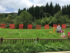 -武陵山森林公园