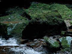 -碧峰峡风景区