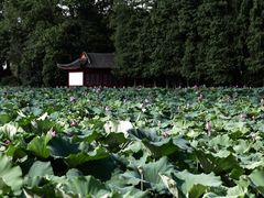 -东湖磨山景区