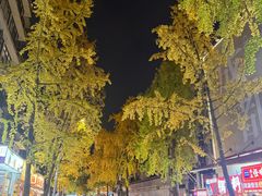 -奎星楼街