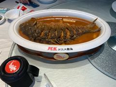 -阿五黄河大鲤鱼(纬三路店)