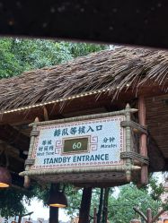 -翱翔飞越地平线