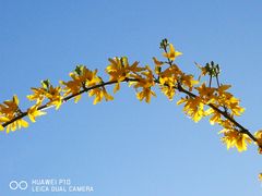 -密云菜市场