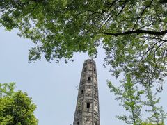 -上海佘山国家森林公园天马山园