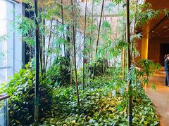 -广州富力君悦大酒店空中花园