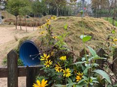 -前小桔亲子创意农场·草莓采摘·露营烧烤