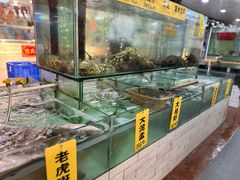 -寻味顺德·南记酒家·传统顺德菜·鱼生(广源路店)