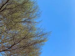 -晓港公园