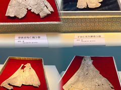 -安阳博物馆