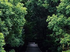 -同里国家湿地公园