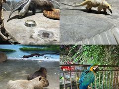 -大连森林动物园