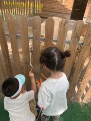 -萌宠亲子动物乐园(槐房万达店)