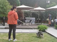 -一尺花园(安和花园店)