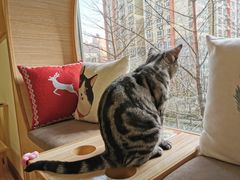 -猫和宫(六道口店)