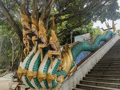 -西双版纳勐泐文化旅游区