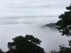 -云腾食府·云南菜