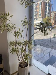 -WENDY·温迪皮肤管理